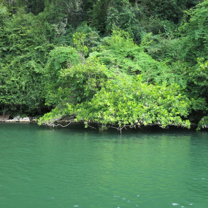 Beautiful scenery at Ba Be Lake - ảnh 6